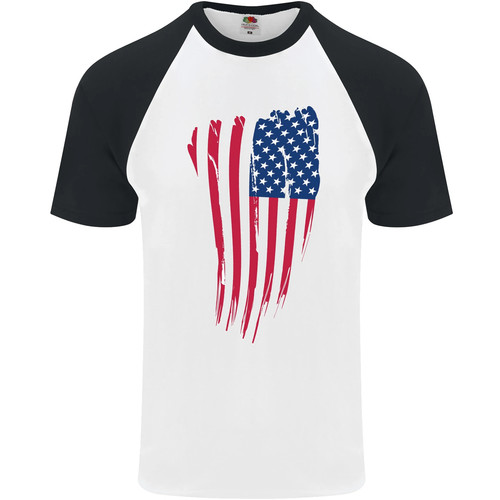 Bandiera stars stripes degli - bandiera, &