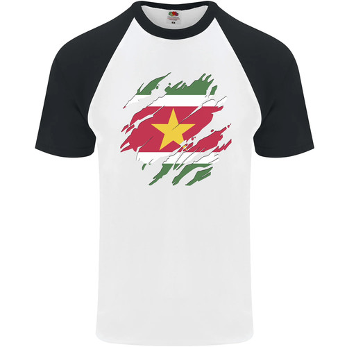 Bandiera del suriname - del,